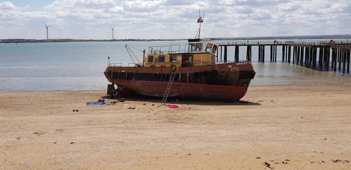 X Pilot on Cockleshell Beach